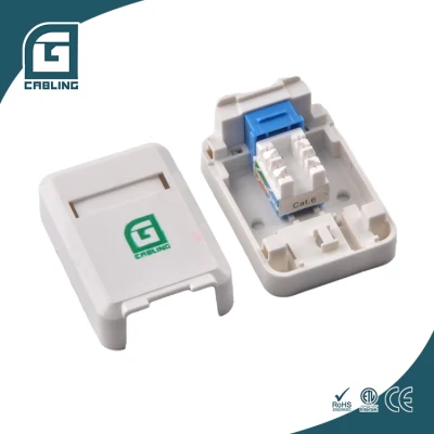 Piastra da muro per inserto Gcabling Nero RJ45 Accoppiatore femmina-femmina Panduit Netkey Keystone Jack